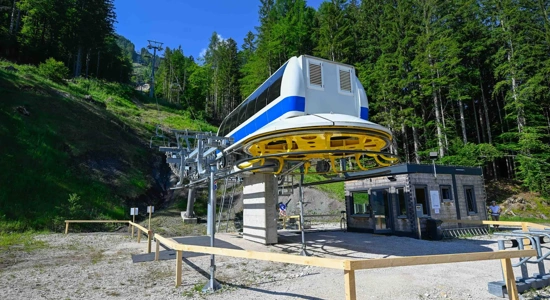 67056334